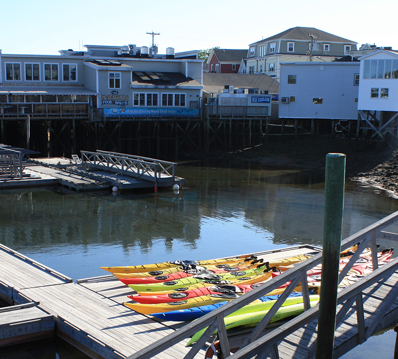 kayaks in harbor