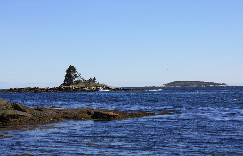 Maine coastline