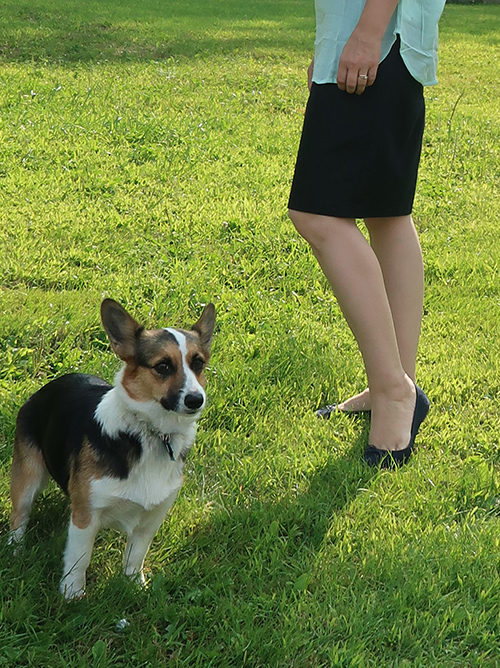 dark-denim-skirt-and-corgi