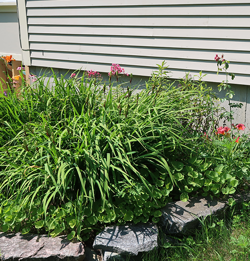 garden-tour-side