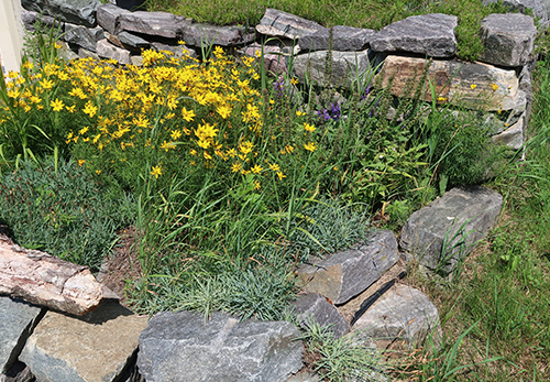 garden-tour-terrace