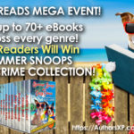 Beach Reads Giveaway!!